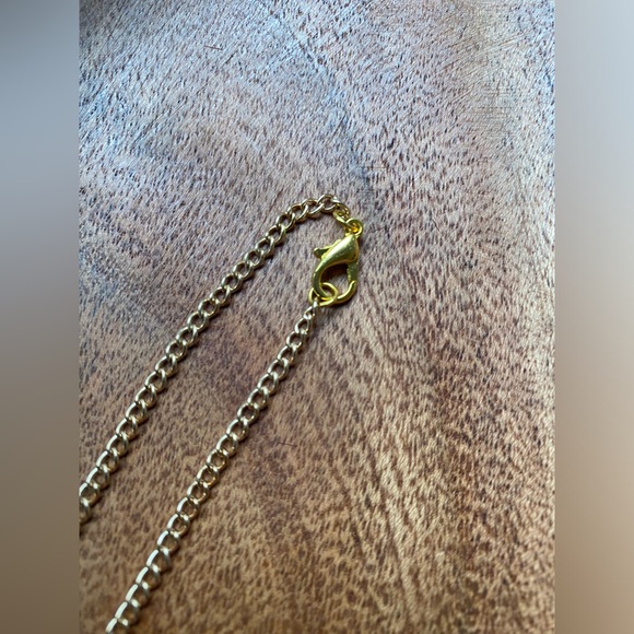 Birch and Tine Deer Antler Necklace - Picture 7 of 7